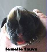 A la naissance